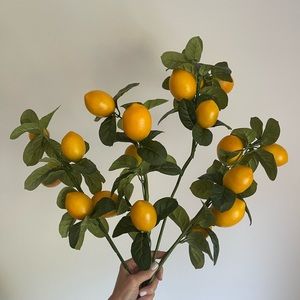 Lemon stems